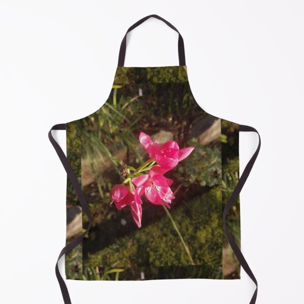 Item preview, Warm Hesperanthus designed and sold by Hazel Meades.
