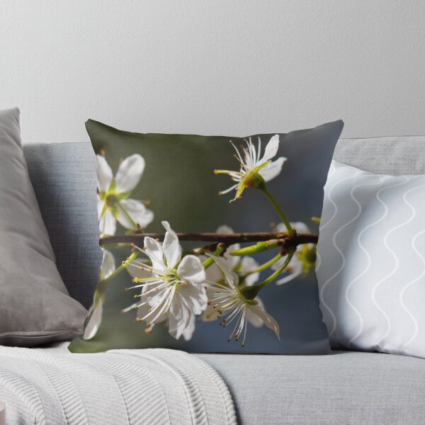 Item preview, Colours of Spring 6 designed and sold by donandhiscamera.