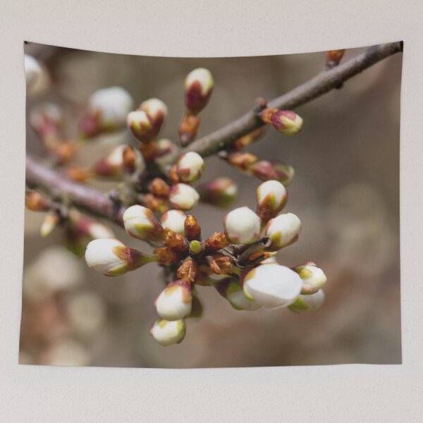 Item preview, Colours of Spring 7 designed and sold by donandhiscamera.