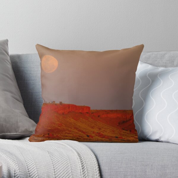 Throw Pillow