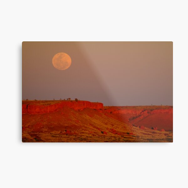 Metal Print