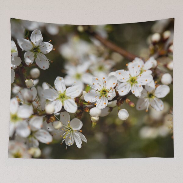 Item preview, Colours of Spring 8 designed and sold by donandhiscamera.