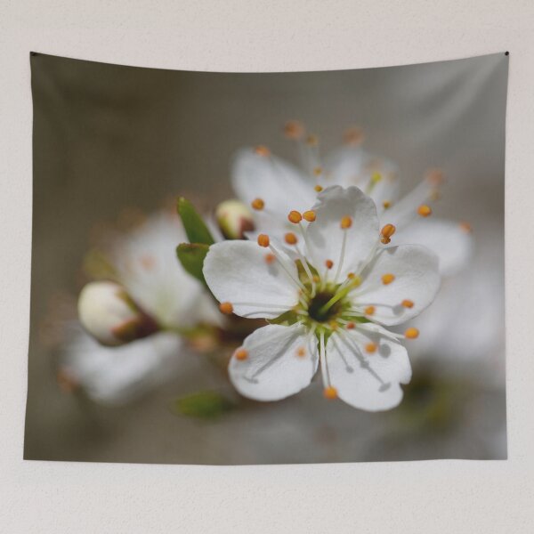Item preview, Colours of Spring 9 designed and sold by donandhiscamera.