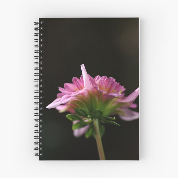 Item preview, flower-dahlia-pink side designed and sold by Joy Watson - Natural Light Photography .