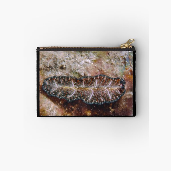 Item preview, Persian Carpet Flatworm, Great Barrier Reef designed and sold by Erik Schlogl.