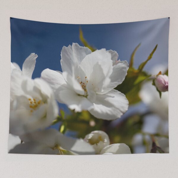 Item preview, Colours of Spring 10 designed and sold by donandhiscamera.
