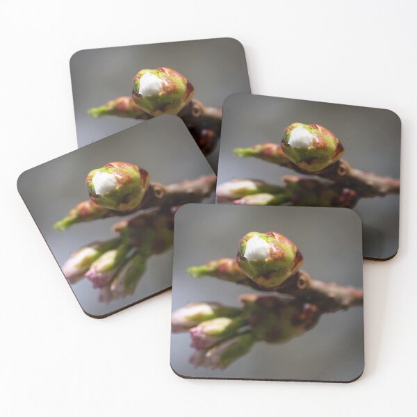 Item preview, Colours of Spring 11 designed and sold by donandhiscamera.