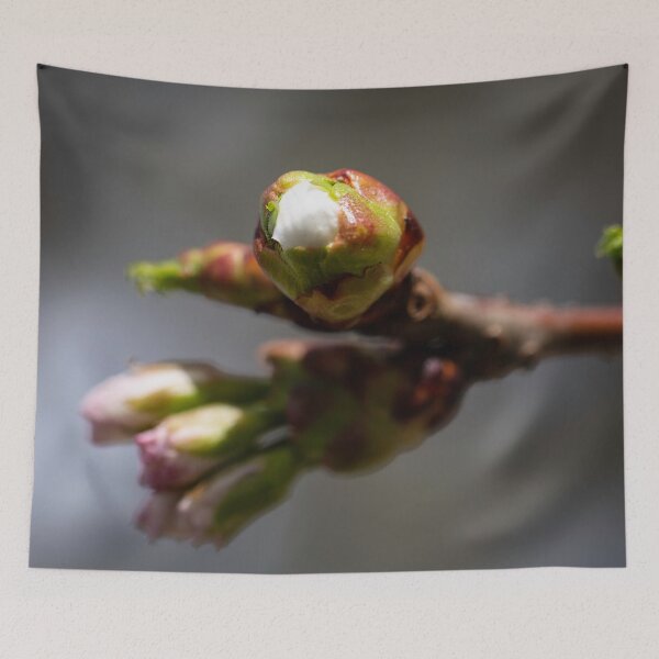 Item preview, Colours of Spring 11 designed and sold by donandhiscamera.