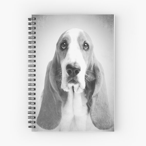 Item preview, Basset Hound dog - BW Vintage - D2 designed and sold by DecoVintage.