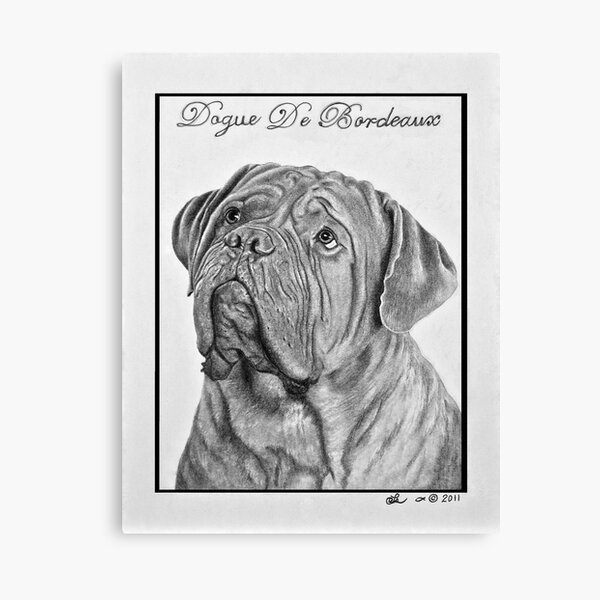 Item preview, Dogue De Bordeaux French Mastiff by Leslie Berg designed and sold by Leslie Berg.