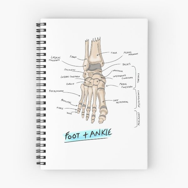 Item preview, Boney Anatomy of the foot and ankle  designed and sold by faolansforge.