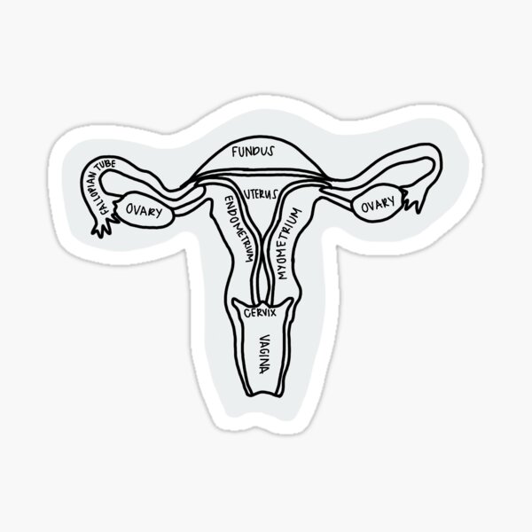 Anatomical Uterus Sticker