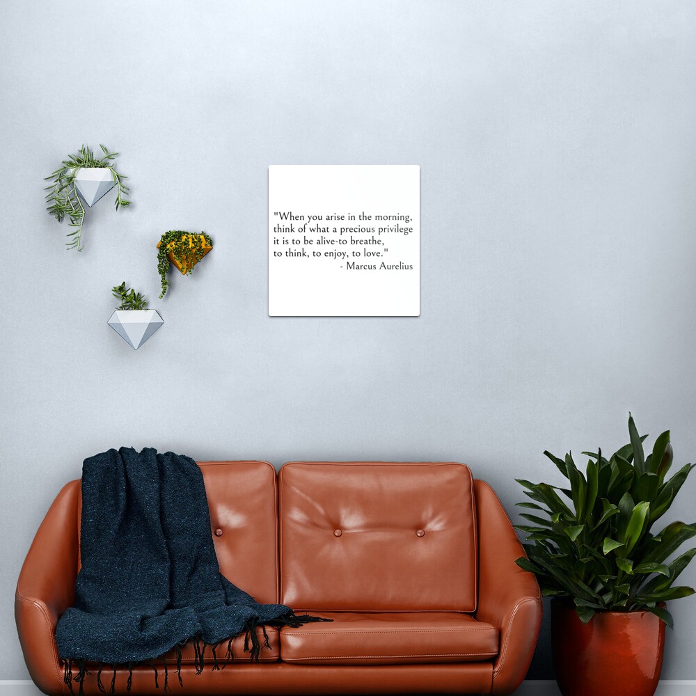 Marcus Aurelius, When you arise in the morning think of what a precious privilege it is to be alive Metal Print