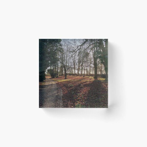 Item preview, winter morning sun designed and sold by EcDigitalPhoto.