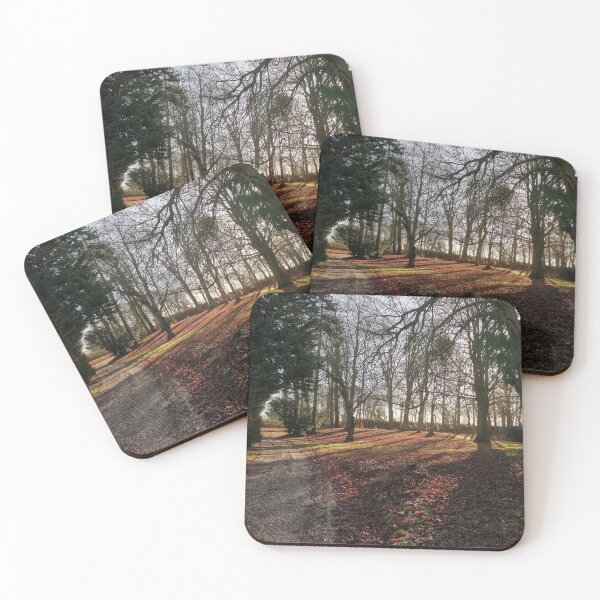 Item preview, winter morning sun designed and sold by EcDigitalPhoto.