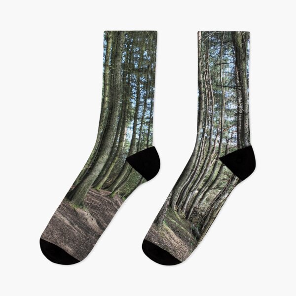 Item preview, Beecraigs Wood designed and sold by tomg.