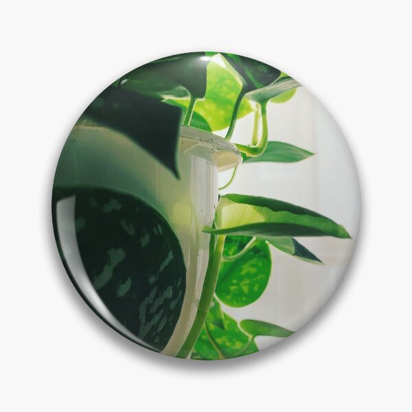 Item preview, Scindapsus Pictus designed and sold by grdnstplantmom.