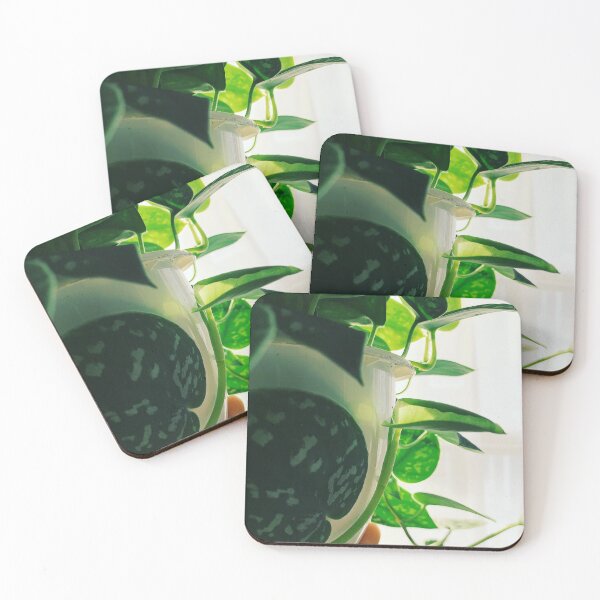 Item preview, Scindapsus Pictus designed and sold by grdnstplantmom.