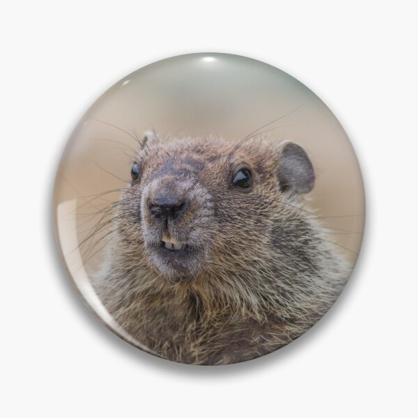Item preview, Happy Groundhog Day adorable little Groundhog with text designed and sold by Rabbitti.