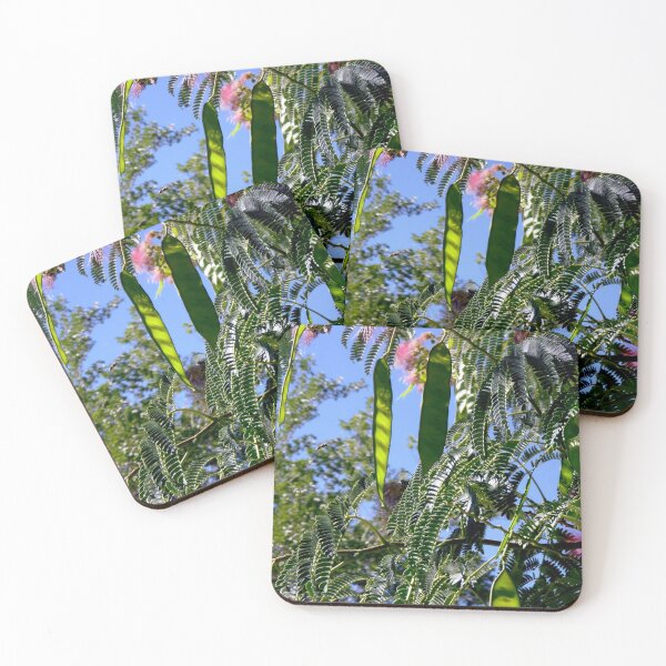 Item preview, Mimosa flowers and seeds designed and sold by Shulie1.