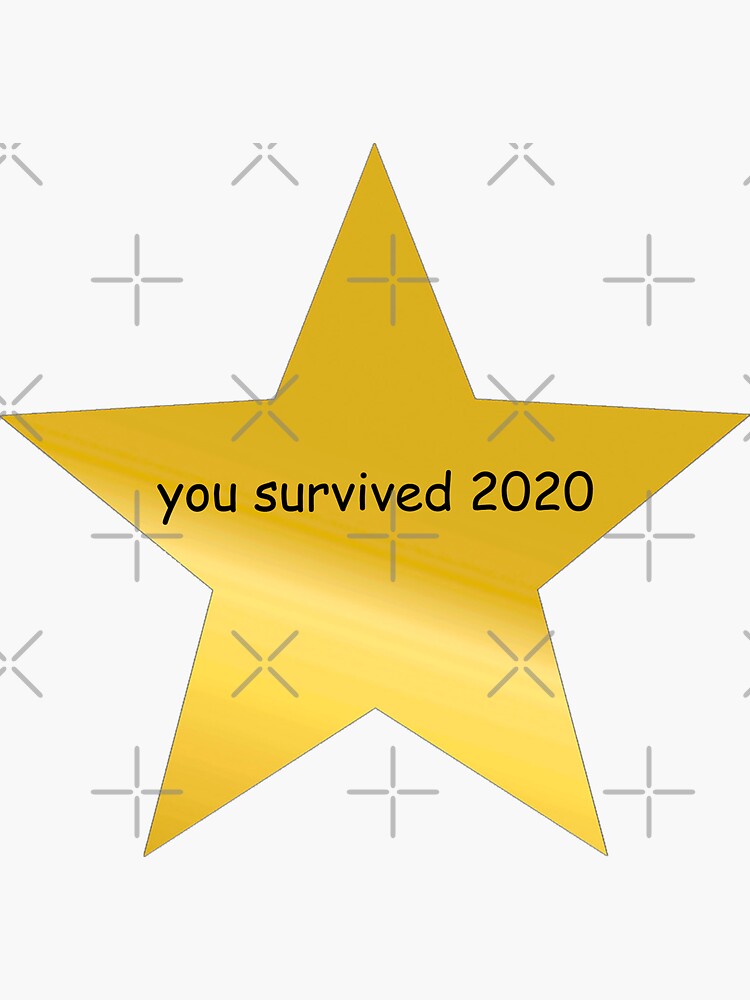 Gold Star Stickers, Adulting Reward Stickers, Novelty Gift, Vinyl