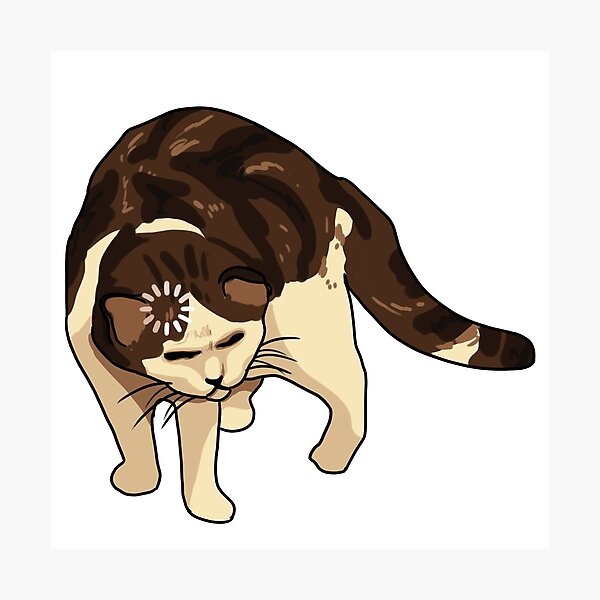 cat meme icon, Gallery posted by jaenpay