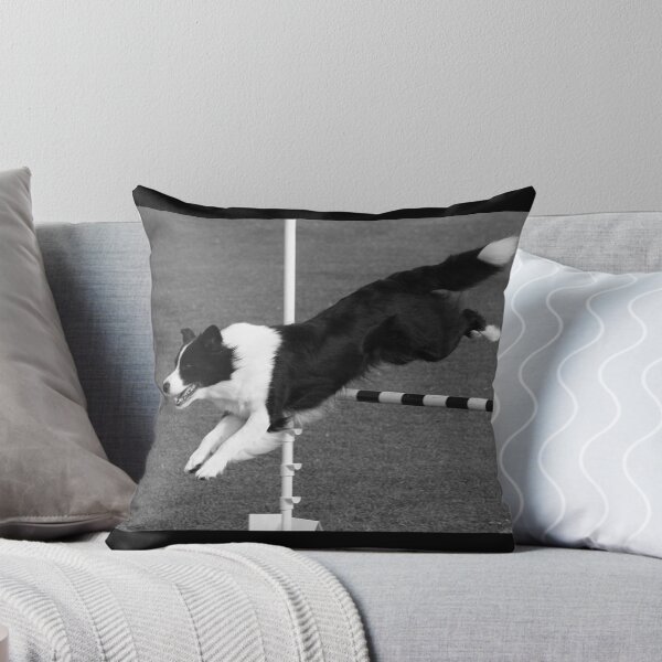 Item preview, Border Collie Jumping designed and sold by Jenny Brice.