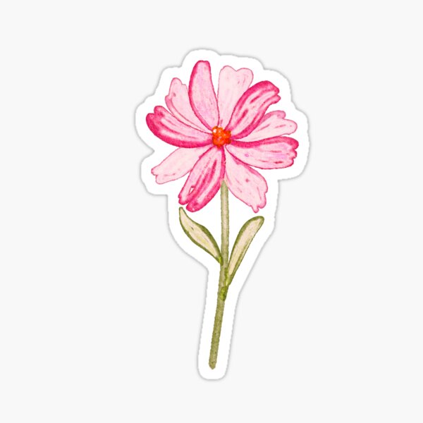 Item preview, Isolated Pink Daisy Flower,  spring in bloom designed and sold by atiksugiwara.