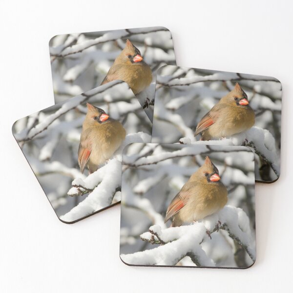 Item preview, Northern Cardinal (female) in winter designed and sold by rodmacpherson.
