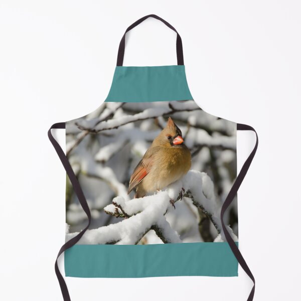 Item preview, Northern Cardinal (female) in winter designed and sold by rodmacpherson.