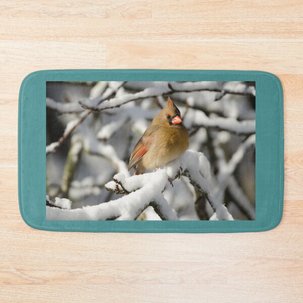 Item preview, Northern Cardinal (female) in winter designed and sold by rodmacpherson.