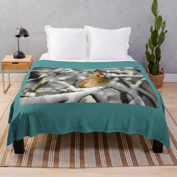 Item preview, Northern Cardinal (female) in winter designed and sold by rodmacpherson.