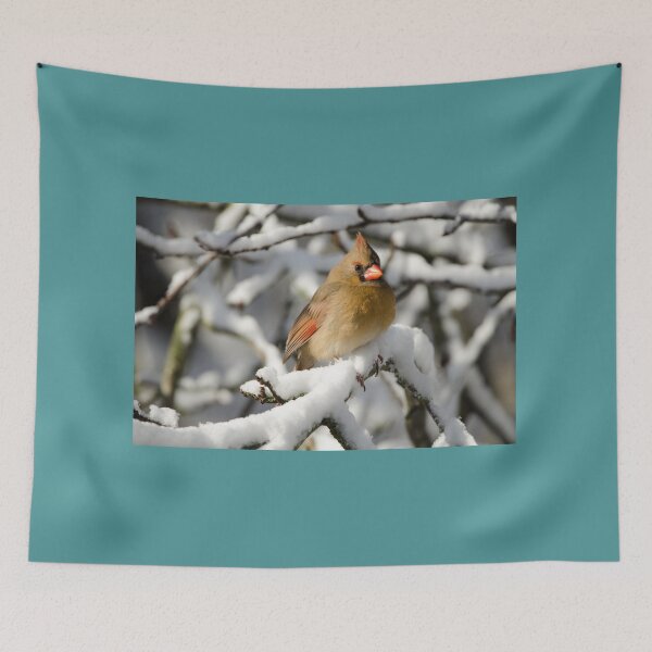 Item preview, Northern Cardinal (female) in winter designed and sold by rodmacpherson.