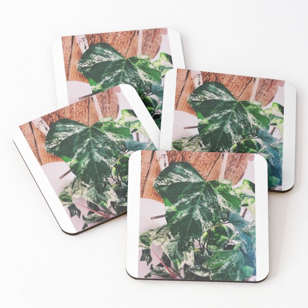 Item preview, Algerian Marble Ivy 2 designed and sold by grdnstplantmom.