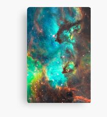 Galaxy / Seahorse / Large Magellanic Cloud / Tarantula Nebula Metal Print