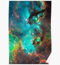 Galaxie / Seepferdchen / Großer Magellanischer Wolken- / Tarantelnebel Poster