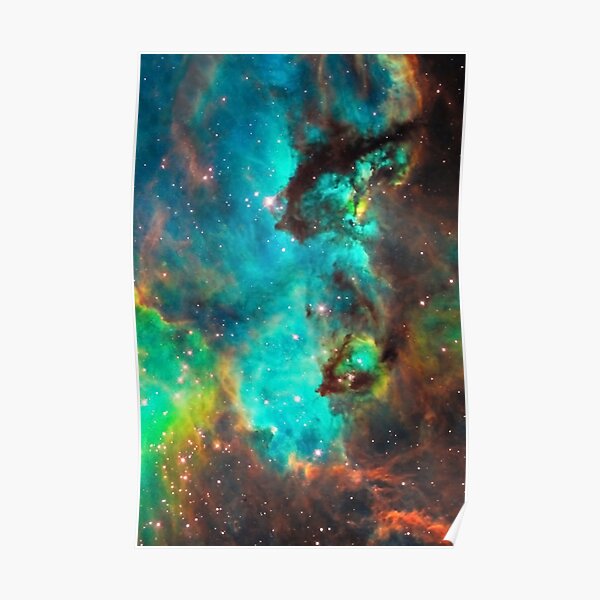 Galaxy / Seahorse / Large Magellanic Cloud / Tarantula Nebula Poster