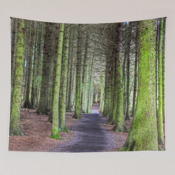 Item preview, Beecraigs Loch Path designed and sold by tomg.