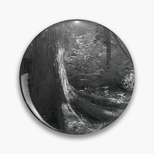 Item preview, untitled (infrared digital photograph) designed and sold by jackson photografix.