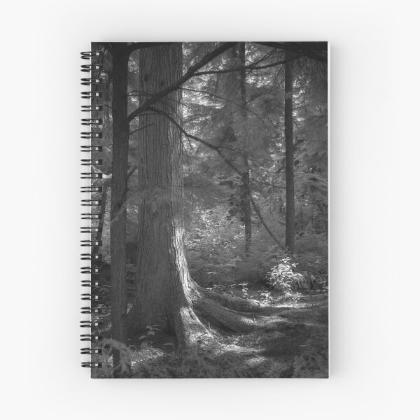 Item preview, untitled (infrared digital photograph) designed and sold by jackson photografix.