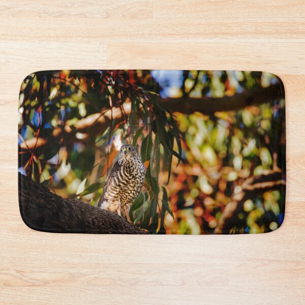 Item preview, Brown Goshawk_VOA8383A designed and sold by SEADOGPRINTS.