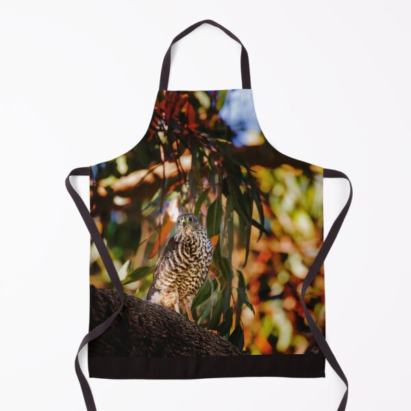 Item preview, Brown Goshawk_VOA8383A designed and sold by SEADOGPRINTS.
