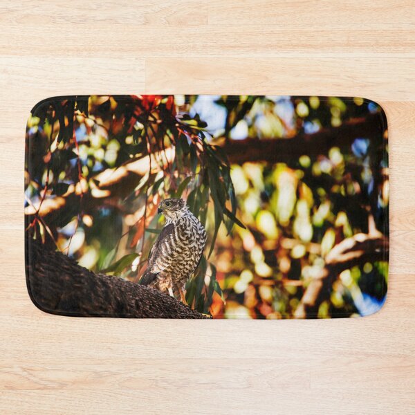Item preview, Brown Goshawk_VOA8386A designed and sold by SEADOGPRINTS.