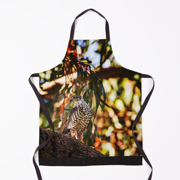 Item preview, Brown Goshawk_VOA8386A designed and sold by SEADOGPRINTS.