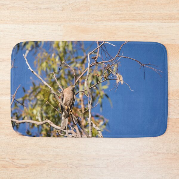 Item preview, Collared Sparrowhawk_VOA8582A designed and sold by SEADOGPRINTS.