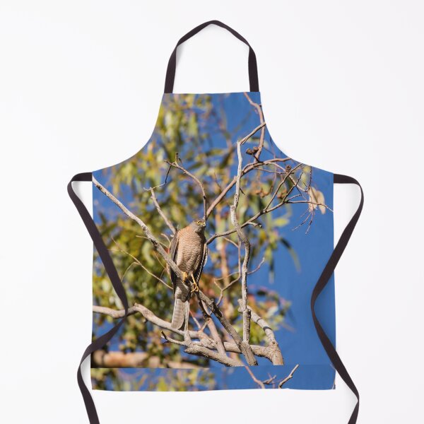 Item preview, Collared Sparrowhawk_VOA8582A designed and sold by SEADOGPRINTS.