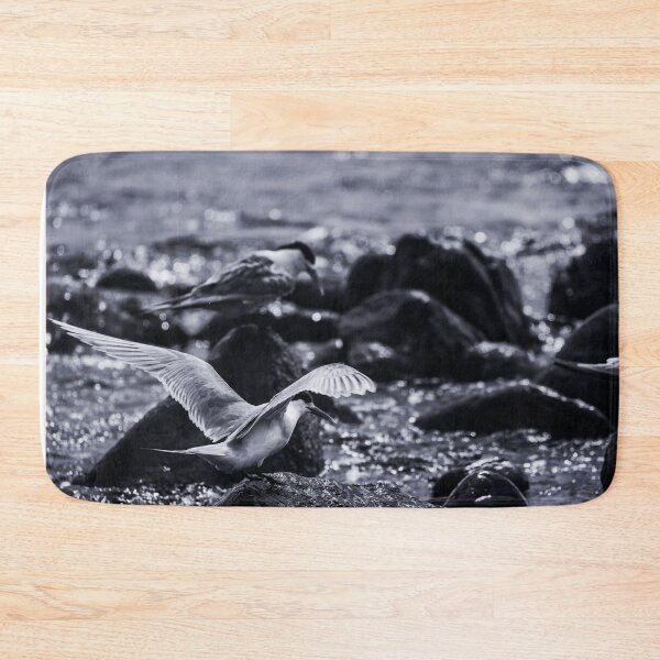 Item preview, Crested Tern_VOA8026A designed and sold by SEADOGPRINTS.