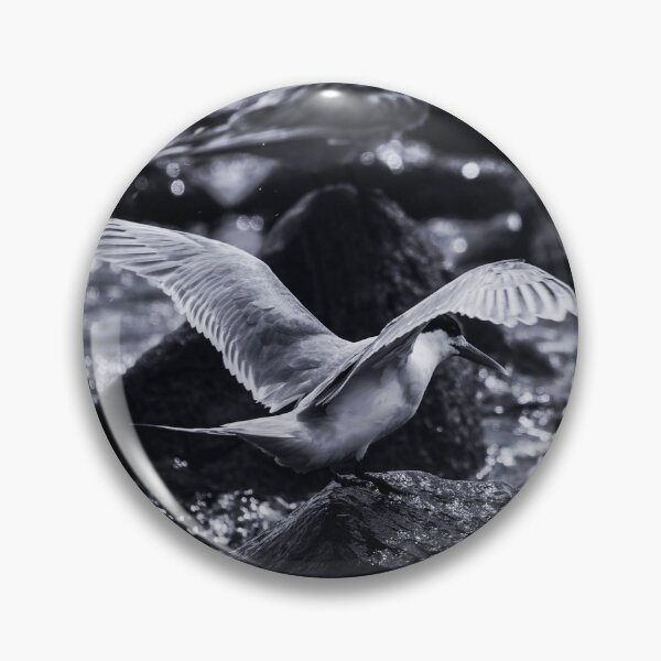 Item preview, Crested Tern_VOA8026A designed and sold by SEADOGPRINTS.