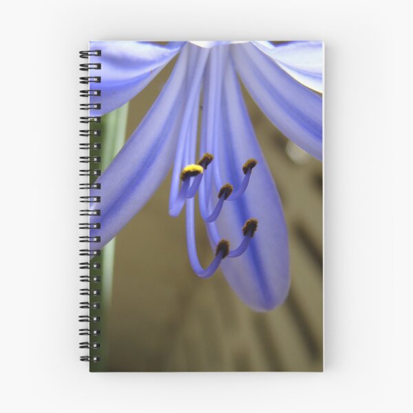 Item preview, agapanthus ~ feeling blue designed and sold by Jan Stead JEMproductions.