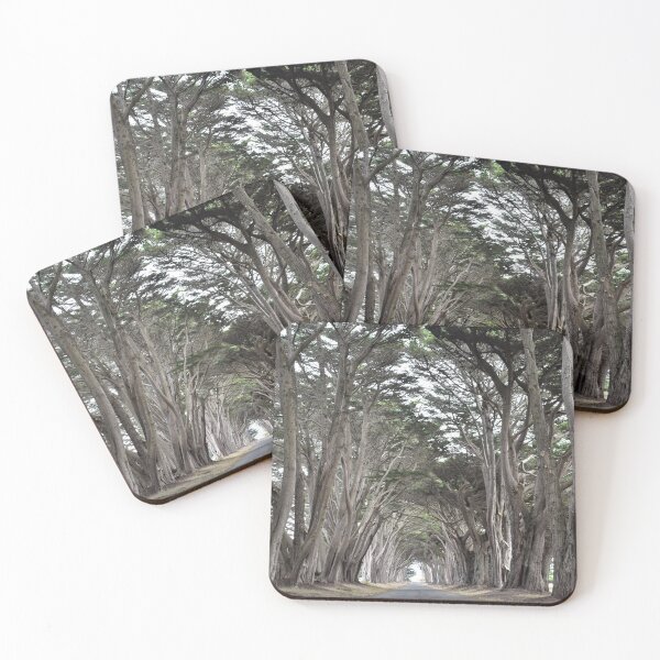 Item preview, Cypress Tree Tunnel in California designed and sold by Lara-vez.